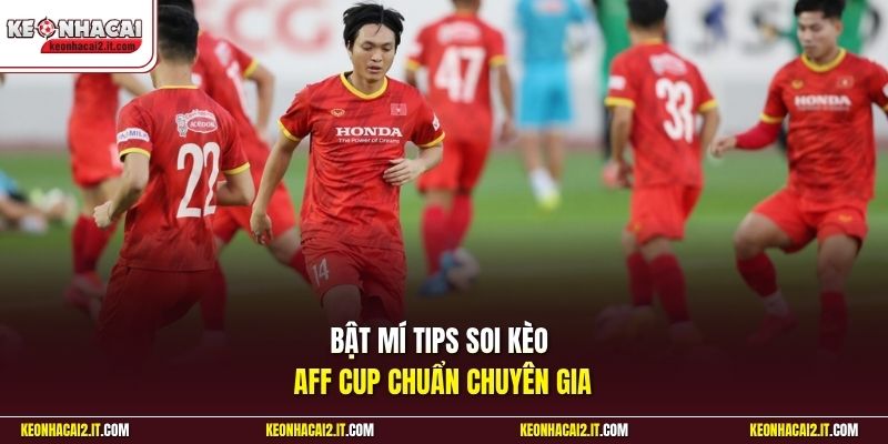 Bật mí tips soi kèo Aff Cup chuẩn chuyên gia