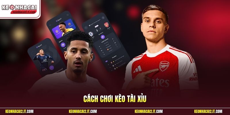 Cách Chơi Kèo Tài Xỉu | Cẩm Nang Đọc Kèo Dành Cho Tân Thủ