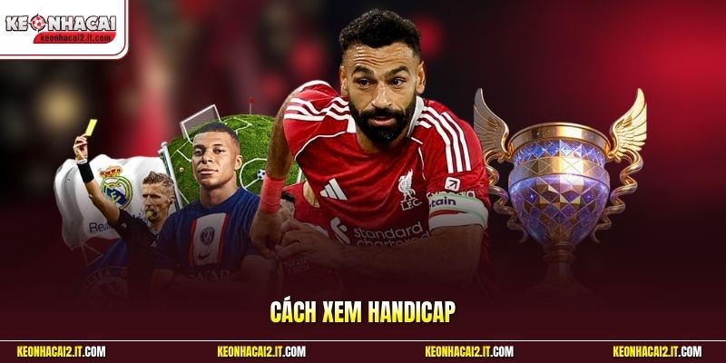 Cách Xem Handicap | Đọc Chuẩn Tỷ Lệ Để Tránh Chọn Sai Cửa
