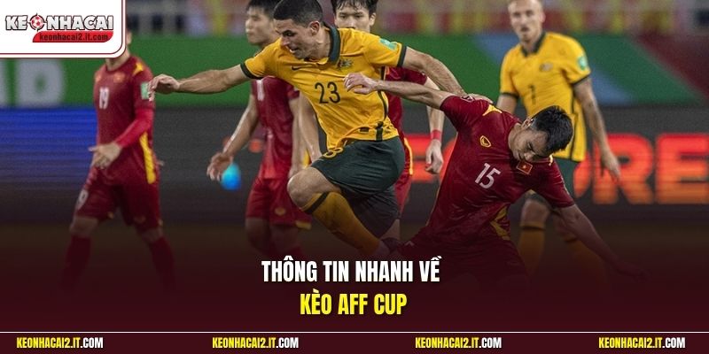 Thông tin nhanh về kèo Aff Cup