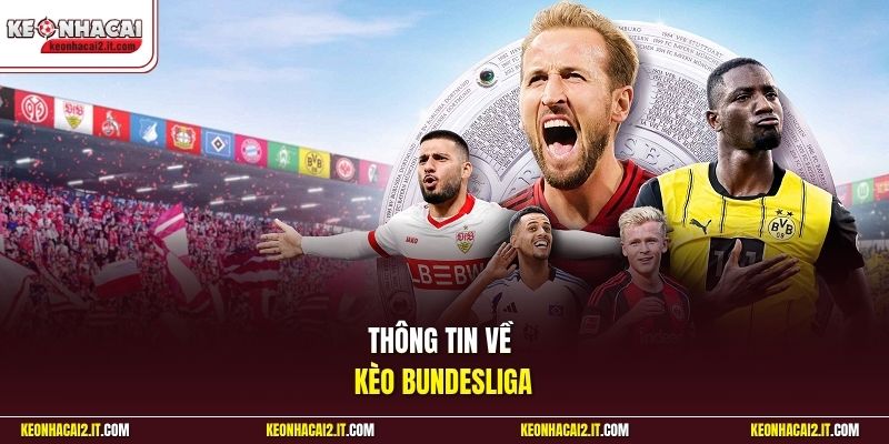 Thông tin về kèo Bundesliga